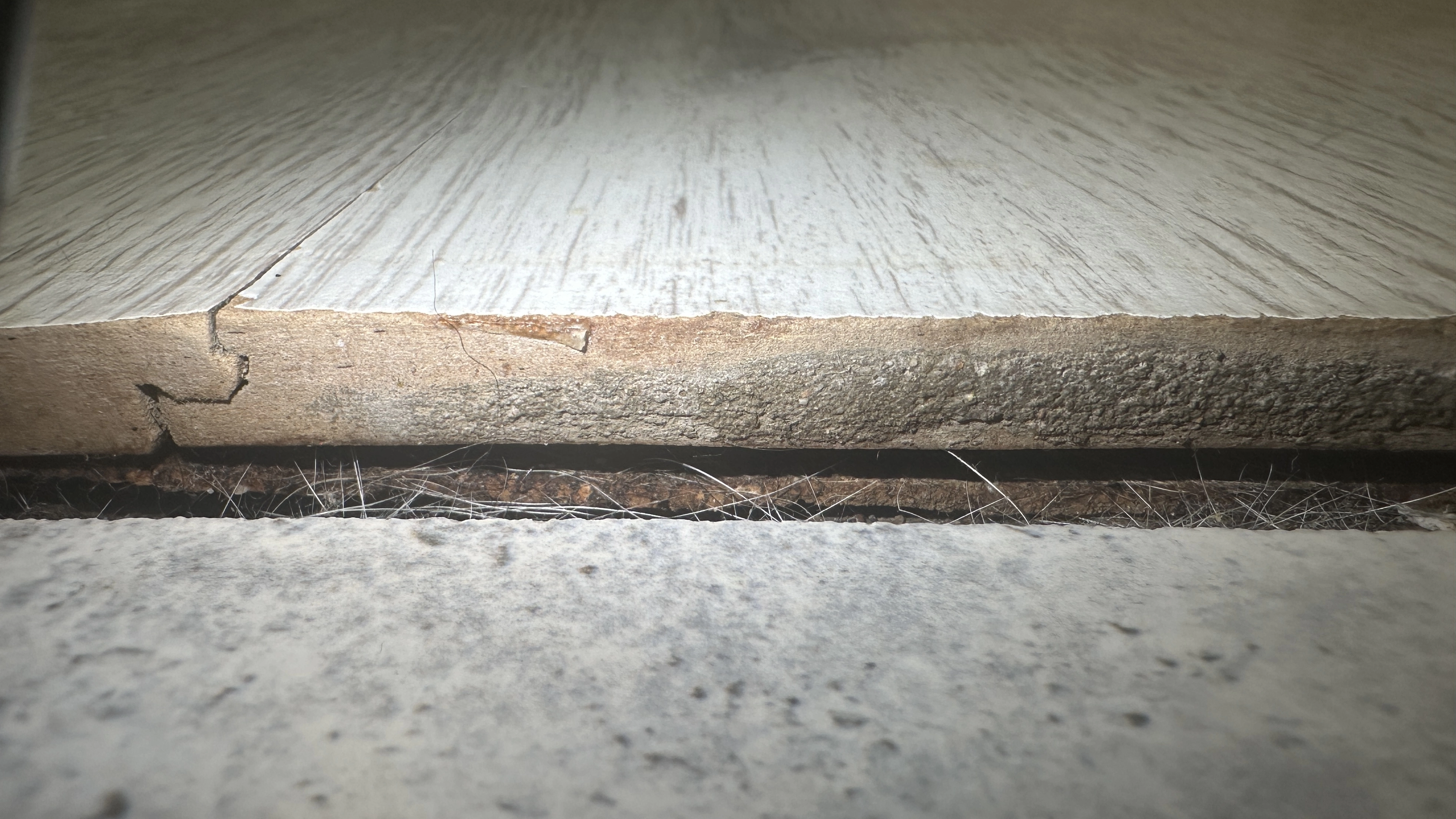 Разбухший стык обычного ламината